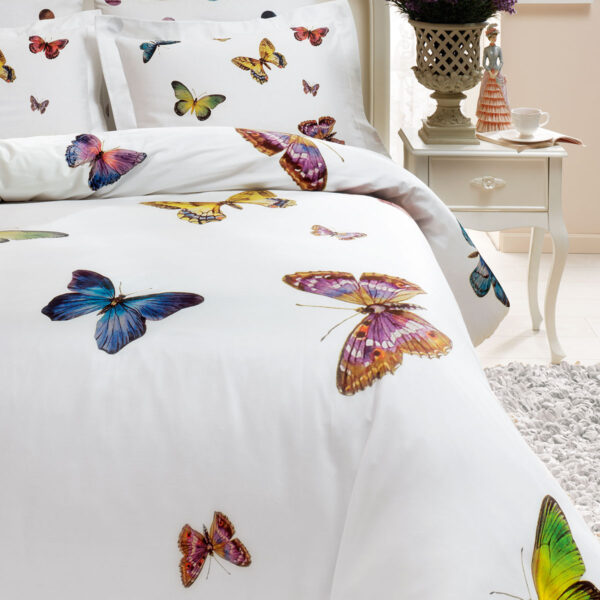 Alternative view of Butterfly